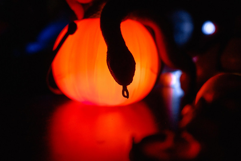 Украшение дома паутиной и летучими мышами к Хэллоуину в Харкові